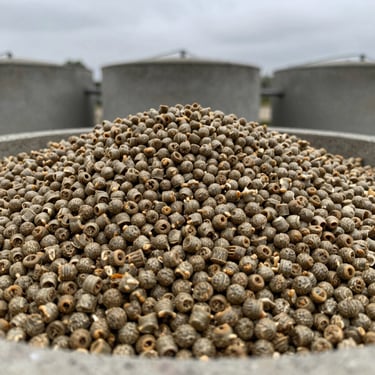 Macro shot of nutrient-dense animal feed pellets in a concrete silo, overcast natural daylight, desaturated earth tones, 35mm