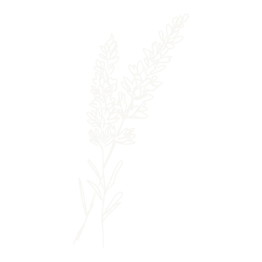 Eggshell Lavender Icon