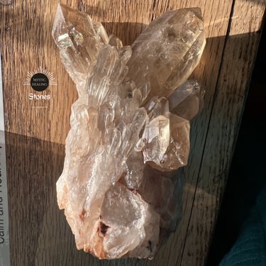 Kundalini Citrine cluster featuring translucent points on a rustic wooden table.