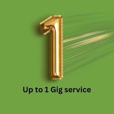 Up to 1 Gig service