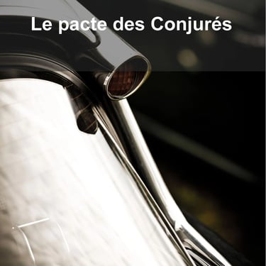 O. Voisin, auteur - Avis client sur les services de correction de Véronique Ribera