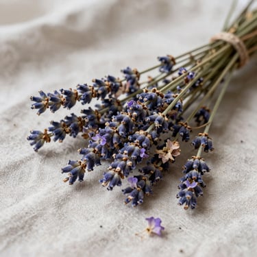 Dried lavender and pressed wild flowers resting on a soft linen cloth, diffused morning light