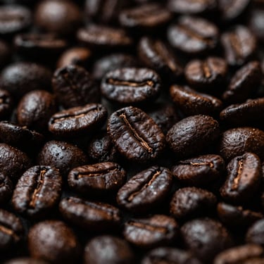 Gayo highlands coffee beans close-up, dark roasted, rich chocolate tones, moody lighting.
