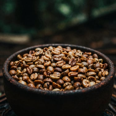 Sulawesi Toraja coffee beans, complex spice notes, warm caramel tones, moody canopy light.