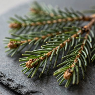Macro detail of rich green pine needles and raw botanical oils blending on a dark slate surface, soft natural light, 35mm