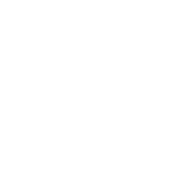 logo bao artisans