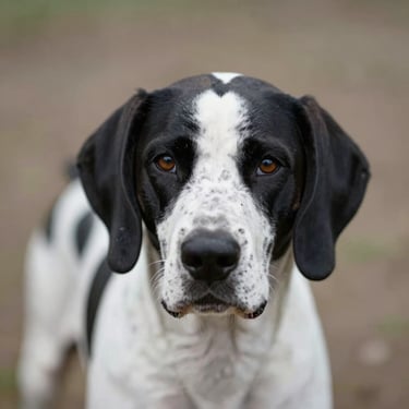 woman wearing black crew-neck shirt
