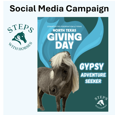 North Texas Giving Day social media graphic created for STEPS With Horses.