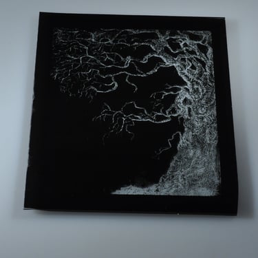 Etched tree on black glass