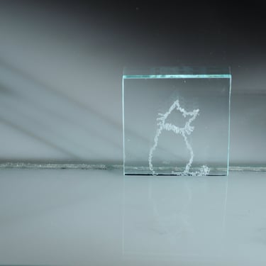 Original cat etching used for printing to paper