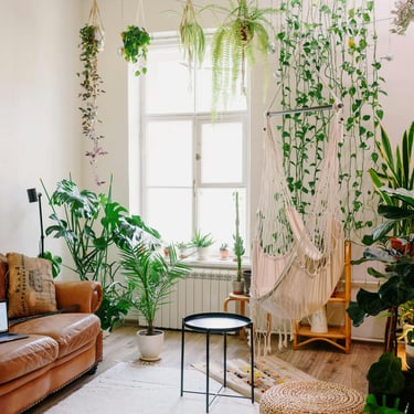 casa con plantas un sillón y una hamaca de macramé 