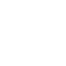 Phone Icon