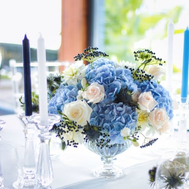 Vestuvių dekoratorė floristė Trakuose floristikos ir dekoro paslaugos mėlynas dekoras mėlynois hortenzijos stalo kompozicija