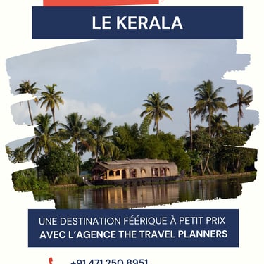 flyer pour the travel planners