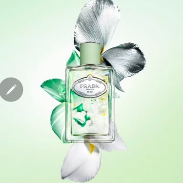 Velvet Iris by No Ditty, an elegant perfume oil inspired by Prada Infusion d’Iris.