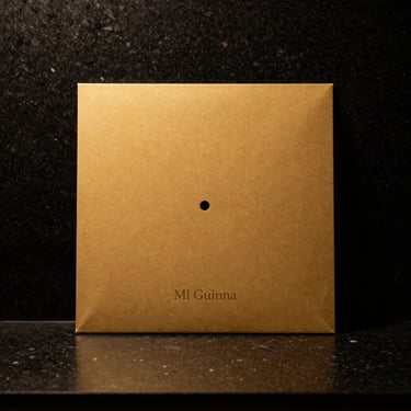 A premium gold-pressed vinyl record sleeve of Mi Guinea, minimalist design, resting on dark basalt stone, warm dramatic lighting, 35mm film