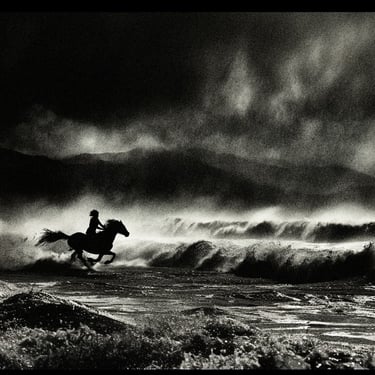 landscape-australia_horse1 — Photographie N&B tirage unique 1/1 par Enzo Minardi