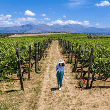 A woman walking through the winery fields in Crete, surrounded by ripe grapes