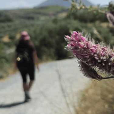 Hiking through the stunning natural landscapes of Crete
