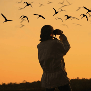 Woman holding binoculars for bird watching at sunset in the mountains of Crete