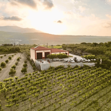 Winery in Crete with breathtaking views of vineyards under the sun