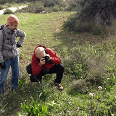 Flora and fauna excursion in Crete, exploring the island's unique wildlife and plant life