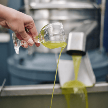 Freshly pressed olive oil in a glass, straight from a Crete factory