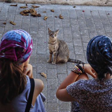 Children sitting outside Tonia's Cottage, watching a grey cat