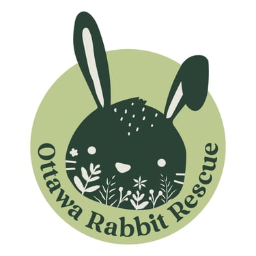 Ottawa Rabbit Rescue