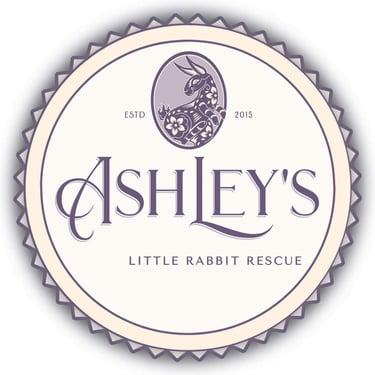 Ashleys Little Rabbit Rescue