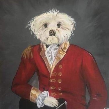 Llahsa apso in soldier's uniform