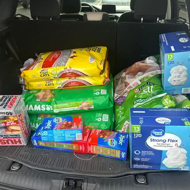 A car trunk filled with supplies for an animal shelter, including large bags of cat food, dog food, and cat litter,