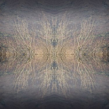 Abstract mirrored tree landscape with soft neutral tones and symmetrical composition