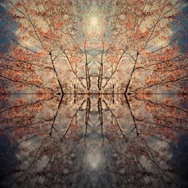 Abstract mirrored autumn trees reflected in water with warm tones and balanced symmetry