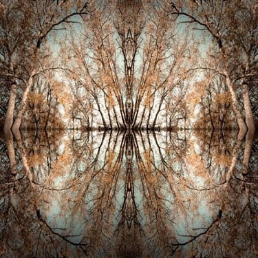 Abstract mirrored forest scene with layered branches and reflective symmetrical structure