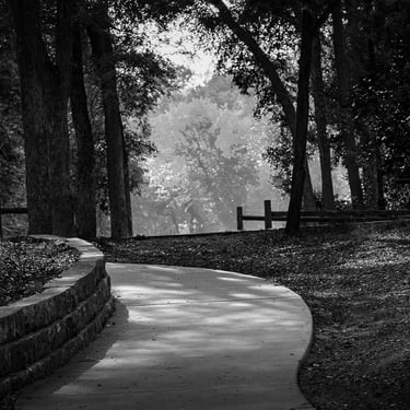 Light and shadow along a walk-in-the-park Chandler Park Georgetown Tx