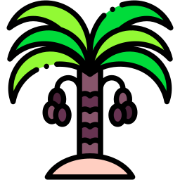 Desert Projects