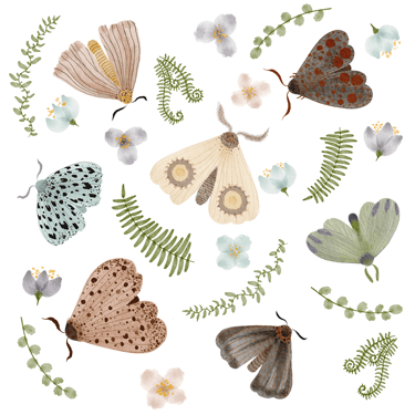 a pattern of a variety of different types of butterflies, leafs and flowers