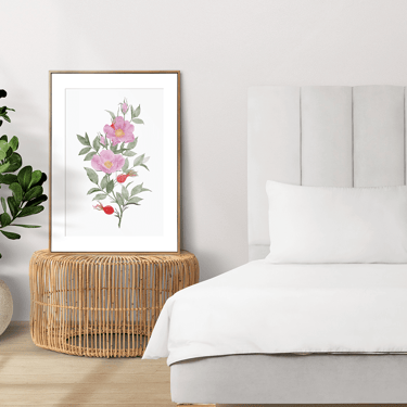 watercolor illustration of dog rose - poster