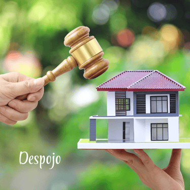 "El despojo de propiedad en México ocurre cuando una persona es privada ilegalmente de la posesión"