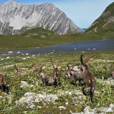 lechtaler alpen oberer sewisee