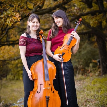 string duo viola and cello
