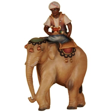 Wise man on elephant