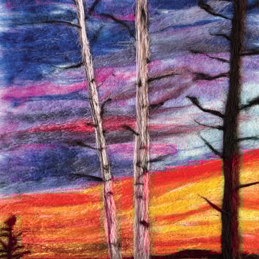 cathie-s.-peterson Felt Sunset