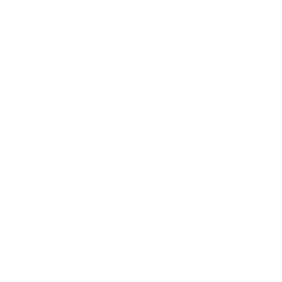 boxes 
