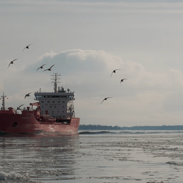 Tanker ship Algoluna surrounded by birds on an icy river. Bulk carrier Algoma Bear follows in the distance.