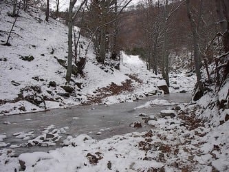 Le torrent gelée