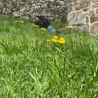 Prairie Magnaudès
