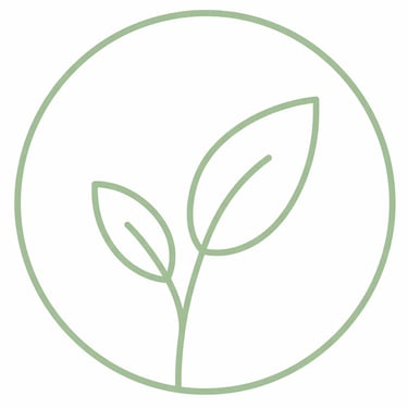 Esplora le Ricette Vegane
