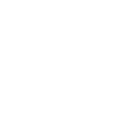 assessment icon